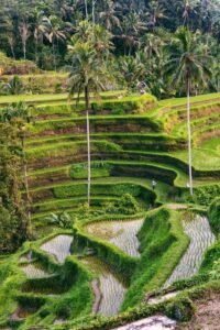 Where I’d Stay in Bali (Luxury for Less)