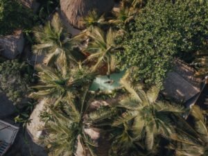 Enjoy a serene aerial view of a tropical pool oasis surrounded by lush palm trees in Tulum, Mexico.